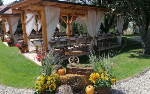 Case Study: Enhancing Brand Awareness and Sales for an Eco Farm Baron 1
