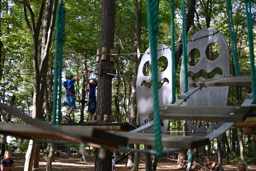 Case Study: Increasing Engagement and Visibility for an Adventure Park Betnava 2 1024x683