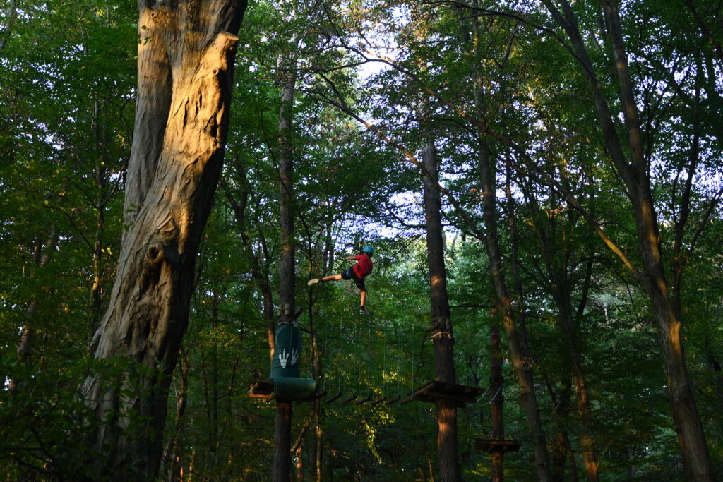 Case Study: Increasing Engagement and Visibility for an Adventure Park Betnava 4 1024x683
