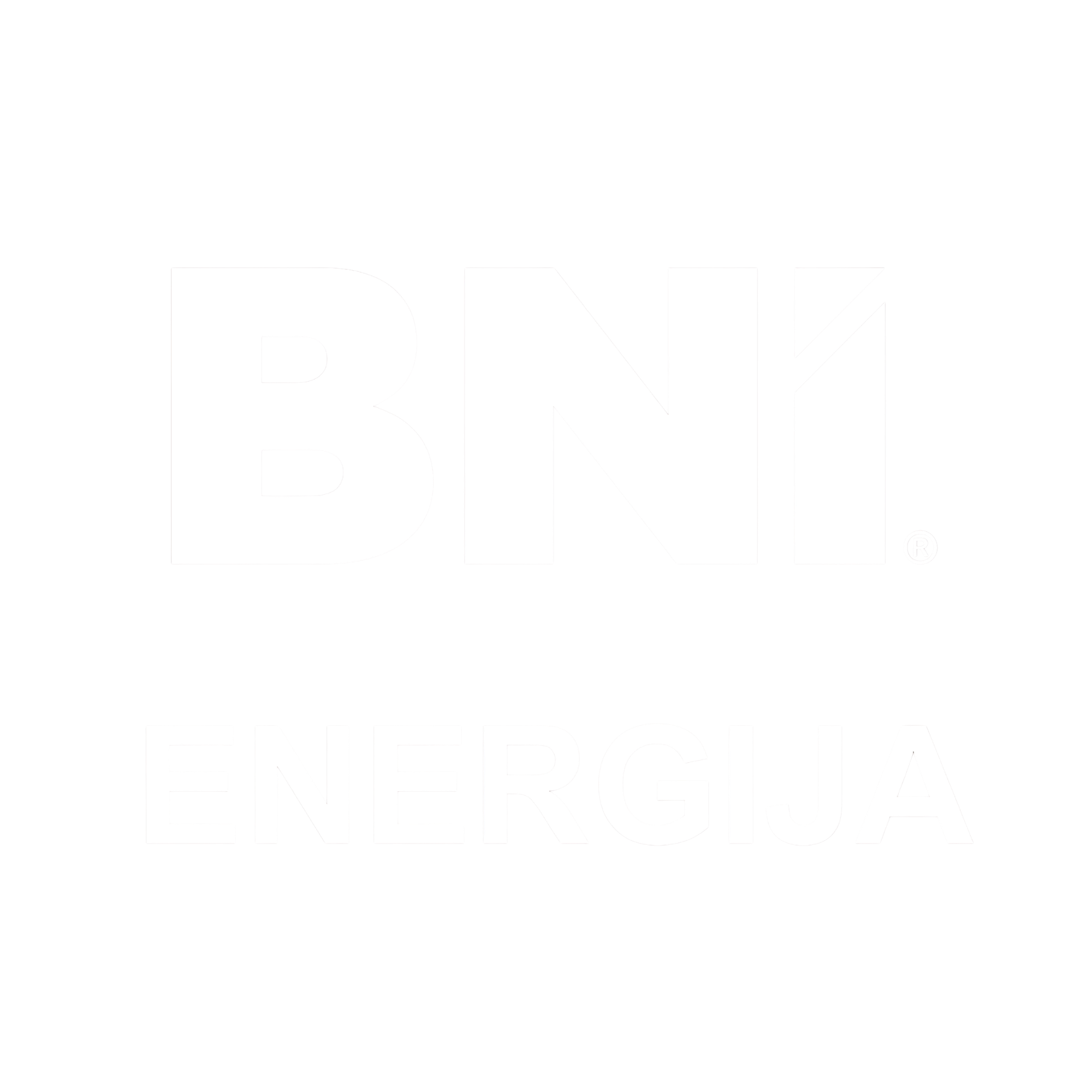 BNI Energija